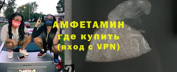сатива Инта