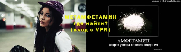 сатива Инта
