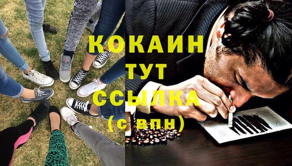 сатива Инта