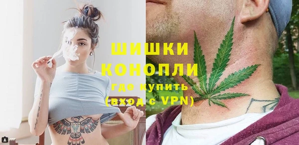 сатива Инта