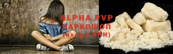 ПСИЛОЦИБИНОВЫЕ ГРИБЫ Иннополис